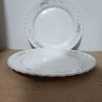 دیس گرد ویکتوریا اصل