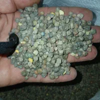 هلر|خوردنی و آشامیدنی|رودشت (چهارمحال و بختیاری), |دیوار