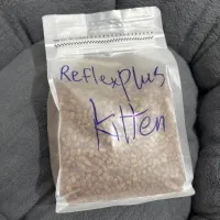 لوازم گربه|لوازم جانبی حیوانات|مشهد, مشکینی (شهرک غرب)|دیوار