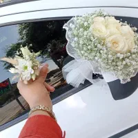 تاج گل و ماشین عروس تحویل فوری / لیا گل|گل و گیاه طبیعی|شیراز, کوی زهرا|دیوار