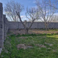 باغ ۵۷۰متر برقدار