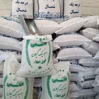 برنج هاشمی گیلان خالص عطری