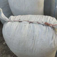 کاه یونجه خرد شده|خدمات باغبانی و درختکاری|دشتابی, |دیوار