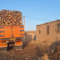 خرید انواع چوب باغی به صورت عمده|خدمات باغبانی و درختکاری|شیراز, بازار|دیوار