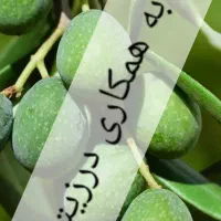 استخدام فروشنده آقا در زیتون سرا رودبار