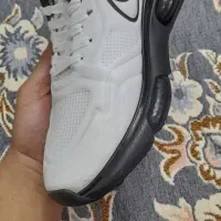 کفش طرح کپسولی نایک