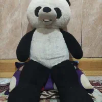 خرس پاندا یک متری