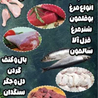 دونفر مرغ خورد کن ماهر و نیمه ماهر نیازمندیم