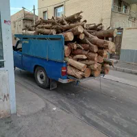 خرید چوب وبرش زدن درخت‌های مزاهم