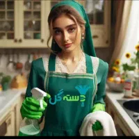 خدمات نظافت منزل و محیط کار