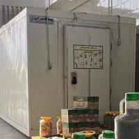 کانتینر سردخانه 20 فوتی یخچالی/ زیر قیمت فروش فوری