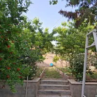 500زمین واقع در شلمزار منطقه کوهستانی|فروش خانه و ویلا|هشتگرد, هیو|دیوار