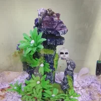 اکواریوم|ماهی|کهریزک, |دیوار