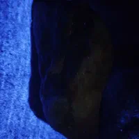 سنگ قیمتی|کلکسیون اشیاء عتیقه|سهند, |دیوار