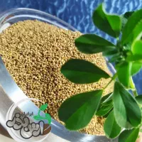 بذر یونجه درجه یک استاندارد