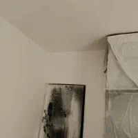 نقاشی ساختمان تخصصی رنگ آمیزی پلاستیک روغنی نقاش|خدمات پیشه و مهارت|مشهد, رضاشهر|دیوار