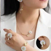 سرویس مجلسی|بدلیجات|خرمآباد, |دیوار