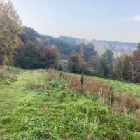 اجاره زمین ۲هکتاری در روستا شکتا ساری سرمایه گذاری|اجارهٔ دفتر صنعتی، کشاورزی، تجاری|ساری, |دیوار