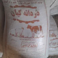 کنسانتره پرواری