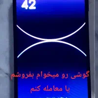 به ضمانت کامل معامله هم دارم