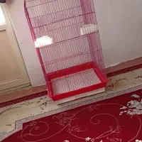 قفس بزرگ سالم