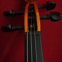 ویولن خوش رنگ TF student mode 4/4|ویولن|اصفهان, تخت فولاد|دیوار