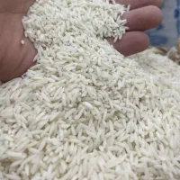 برنج طارم هاشمی اصیل مازندران|خوردنی و آشامیدنی|تهران, شیخ هادی|دیوار