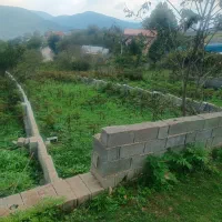 زمین-356مترمسکونی-سوادکوه