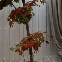 درختچه مصنوعی|گل مصنوعی|تهران, شهمیرزادی|دیوار