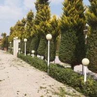 هرس کاری درختان سرو .لافسون .شمشاد باغ وویلا|خدمات باغبانی و درختکاری|مبارکه, |دیوار