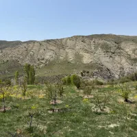 سرایدار و باغبان