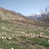 زمین-باغ