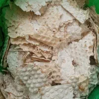 تمیز بدون خرابی نان خشک