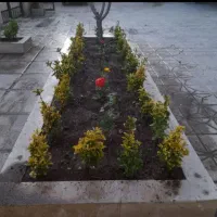 باغبانی سمپاشی کودهی هرس گلکاری علف کشی باغبانی|خدمات باغبانی و درختکاری|مشهد, کوثر|دیوار