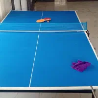 میز پینگ پنگ