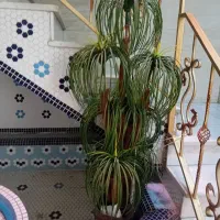 گل و گلدان مصنوعی