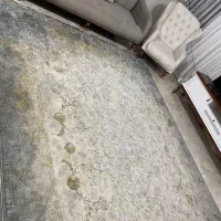 فرش|فرش|ورامین, ورامین|دیوار