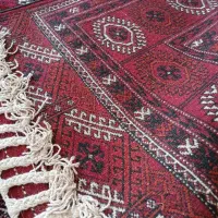 قالی ترکمنی اصیل دست باف|فرش|گنبد کاووس, |دیوار