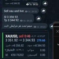 سیگنال طلا تخصصی|خدمات آموزشی|تهران, اقدسیه|دیوار