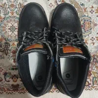 کفش کار
