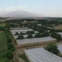 850 متر ویلا ( تهاتر )