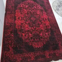 یک عدد فرش ۱۲ متری کاملا سالم ۵ ماه خریداری شده|فرش|رشت, جماران|دیوار