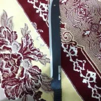 بامبوزن|کوهنوردی و کمپینگ|مشگین شهر, |دیوار