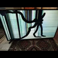 ال ای دی|تلویزیون و پروژکتور|شیراز, کوشک میدان|دیوار