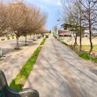 فروش آپارتمان نیمه کاره یکجا سند/جواز/نزدیک ساحل