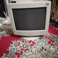 ماینور الجی