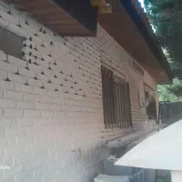 کاشی کاری وسرامیک سنگ کار|خدمات پیشه و مهارت|نور, |دیوار