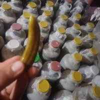 خیارشور نول و ویژه با بهترین عطر و طعم|خوردنی و آشامیدنی|بستان آباد, |دیوار