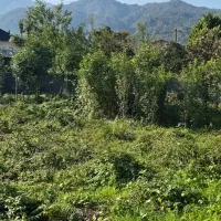 فروش زمین بادوکاربری مسکونی جداگانه بابنچاق قدیمی