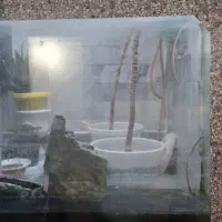 آکواریوم ماهی